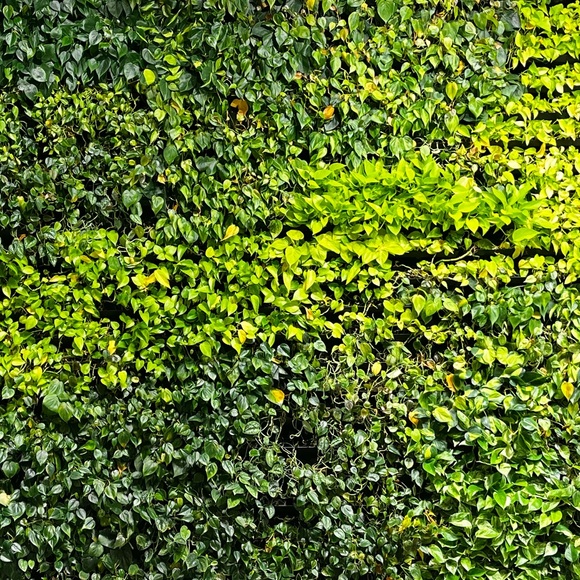 Meet your Posher, Linda - Picture 1 of 1